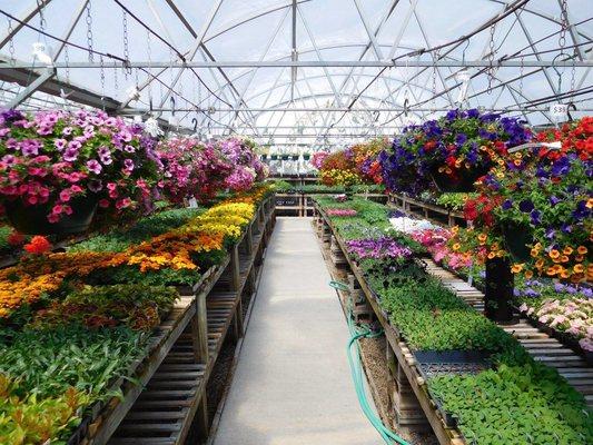 Let the professionals at Gateway Garden & Home Center's greenhouse help you select the best plantings for your landscape.