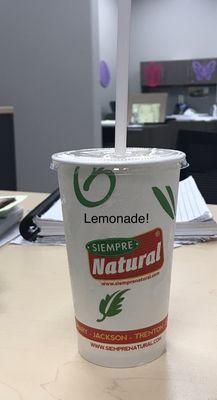 GREAT tasting slightly sweetened lemonade!