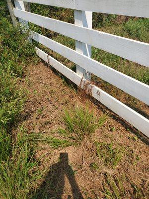 Pressure wash and paint, two miles of three boards farm fence. Looks like new fence