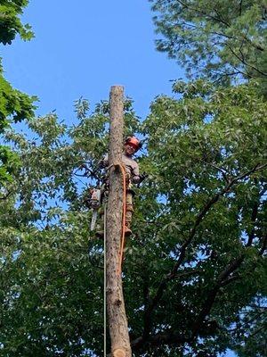 We offer tree services. Quality work & affordable prices.