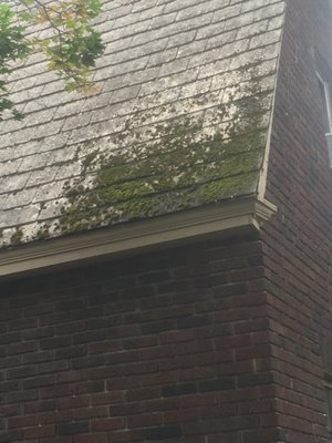 Soft Roof Treatment - After treatment runs down