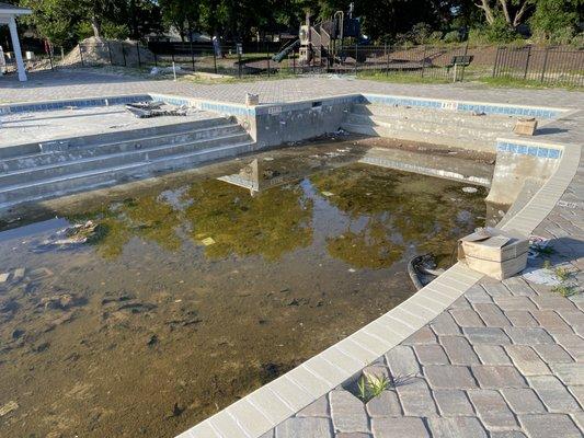 Pool was left unfinished like this by Quality Pools for over a year.