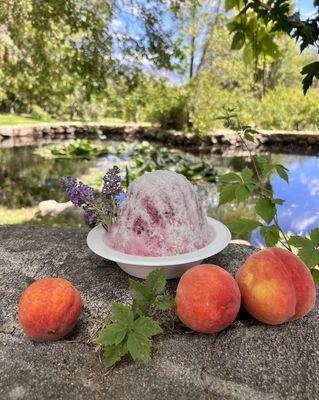 Shave Ice with nectarine sorbet on the bottom and natural Lavender and Vanilla syrup on top.