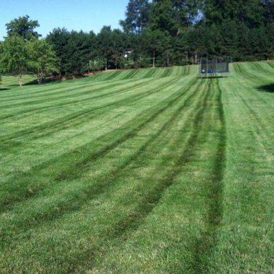 Lawn got cut