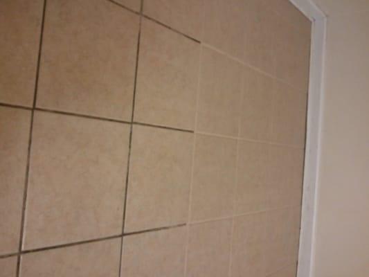 Grout Cleaned & Sealed