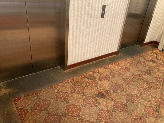 Horrible carpet in elevator area on 4th floor.