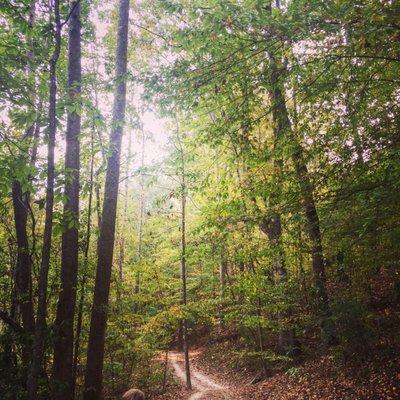 Irondale Furnace Park and Trail