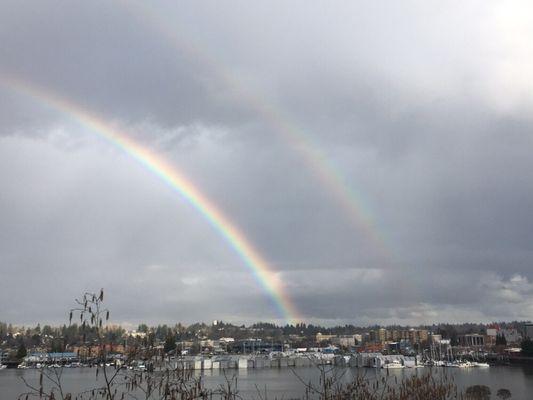 Spring is here! The view from our office.