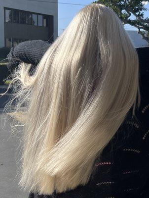 Long hair bleach hi lift and toned beautiful color