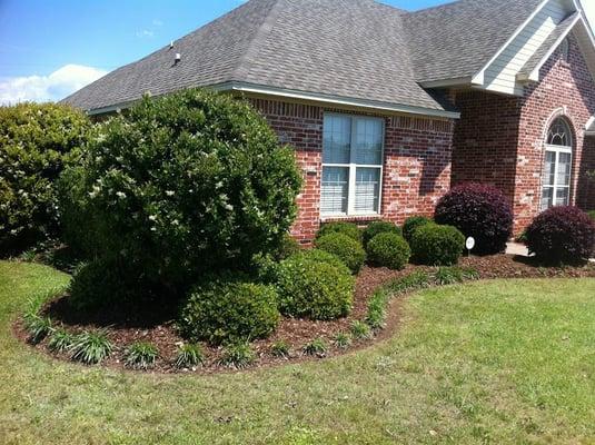 Hedge trimming service monroe