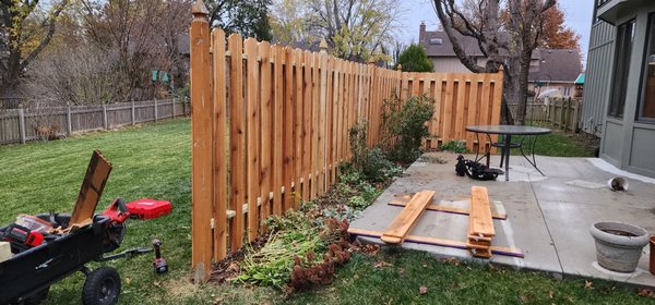 New fence