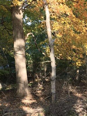 Ramsey Bike Path