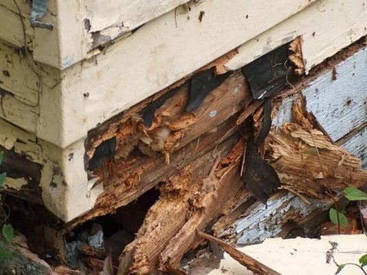 Dry Rot. We have an experienced crew to fix this. And you won't be able to see where the old damage was when they are done.