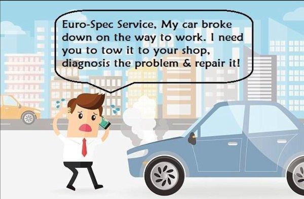 Euro-Spec Service