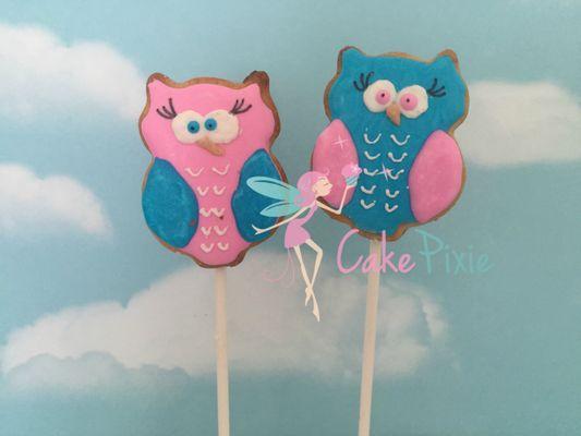 Owl cookie pops. Birthday party cookies. Kids birthday party ideas.