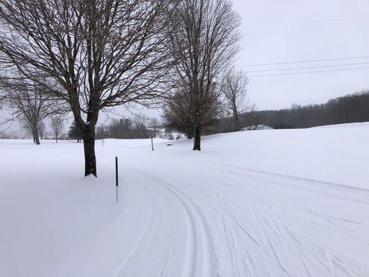 Groomed tracks for skate skiing and classic