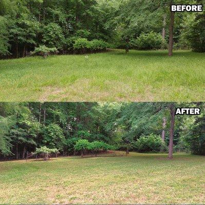 This is a before and after photo of an overgrown lawn I mowed and trimmed.