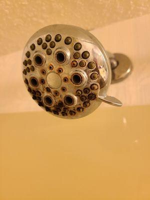 Nasty shower head, black mold & dent in door