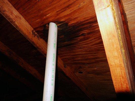 Roof leaks are most commonly found at plumbing vents. Minimalist inspectors will never find these leaks from the attic opening.