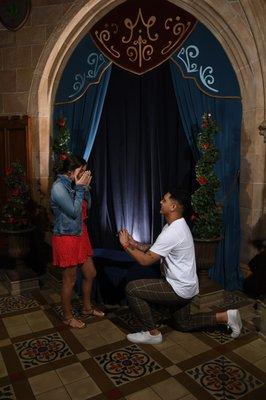 Disney proposal