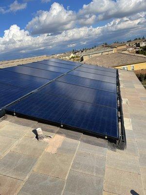 Pigeon Removal Solar Panels