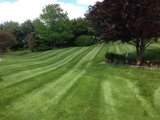 Grass Cutting Hockessin, DE 19707