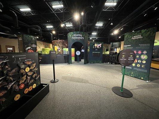 Amazing Pollinators exhibit (2/8/2023)