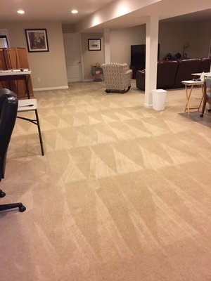 Vacuum lines created with perfection by our very own Cleaning Tech!