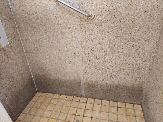 Mold on all corners of the shower floor.