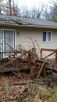 Tree fell due to a storm. Said he'd send someone immediately. 2 months later they finally came.