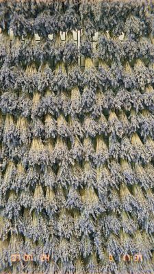 Beautiful dried lavender bouquet wall!