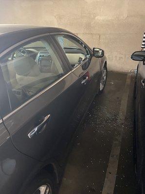 "Secured" Parking