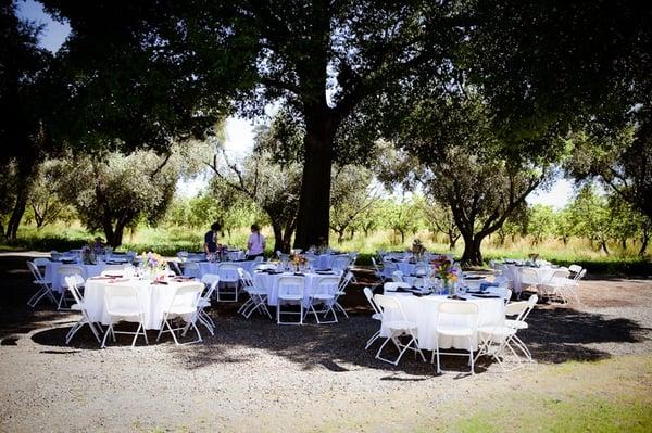 Rentals from A Grand Affair.  Photo by Stephen Loewinsohn (stevetakespictures.com).