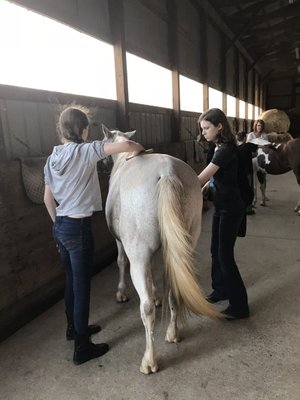 In the barn getting ready for lesson