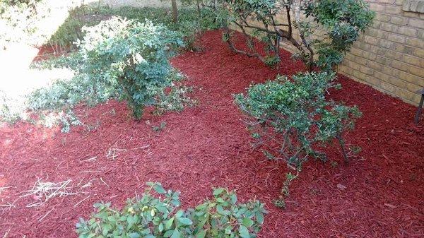 Mulched Patio/Flower bed