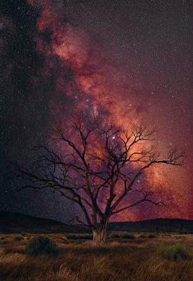 Peter Lik - Stargazer