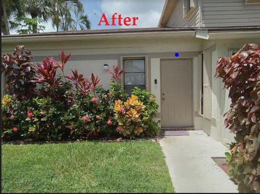 After Seat of Wisdom Plant Nursery transformed the Front Yard