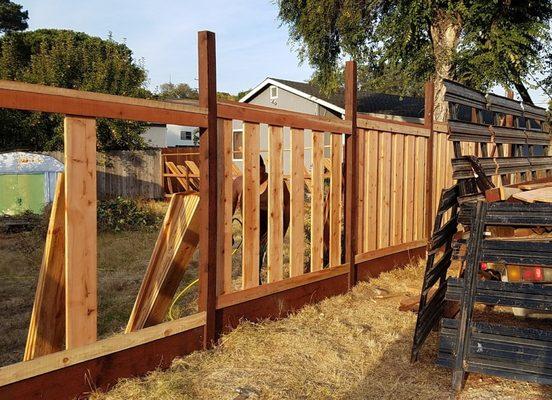 Front fence in progress.