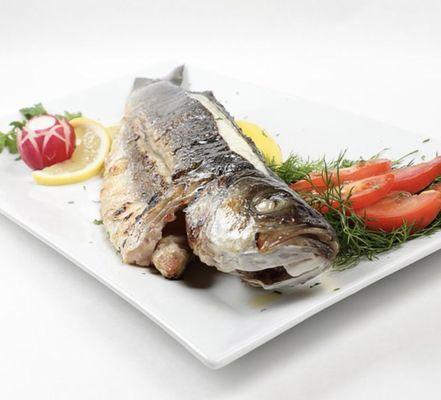 Grilled Branzino