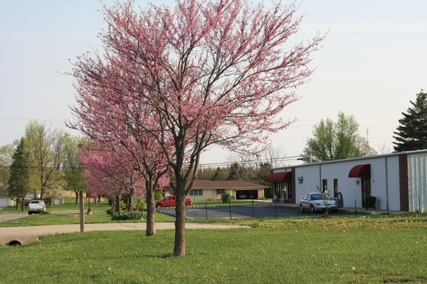 7200 square feet building and lots of front door parking.