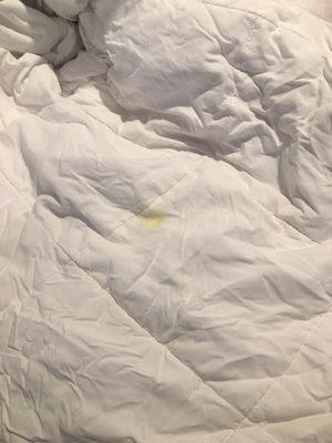 Stains on comforter