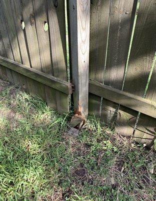 Damaged fence