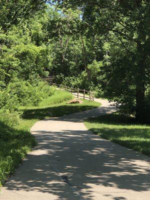 Hillier side of the trail. Both directions are lovely.