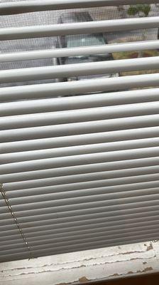 blinds cleaning