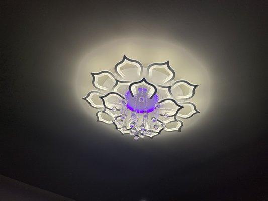 Flower light bathroom remodel