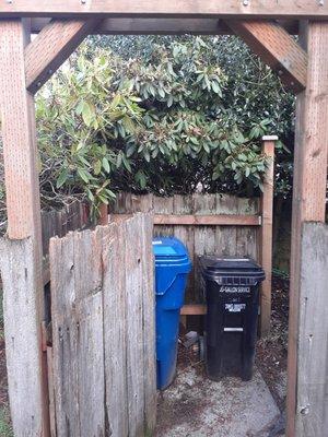 Rhododendrons love to be deadwooded.