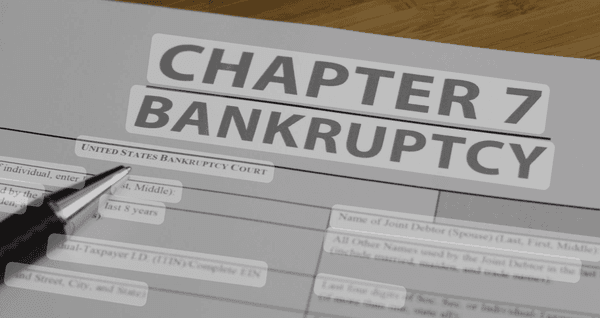 Chapter 7 Bankruptcy 450.00