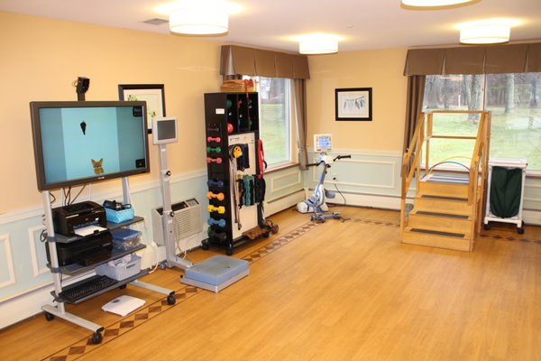 Outpatient and inpatient rehab and therapy gym.