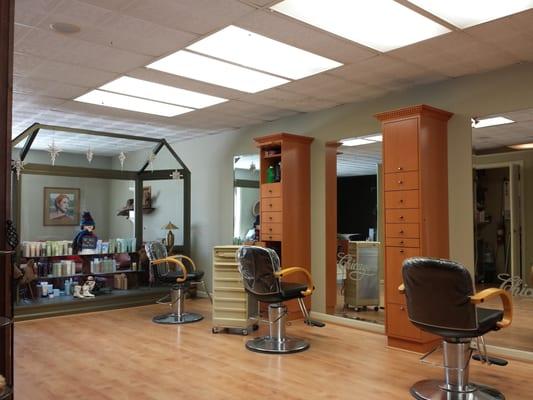 Chicago Salon the