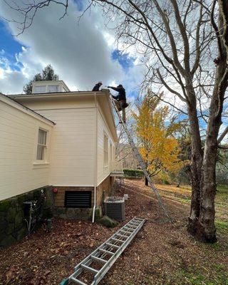 gutters & downspouts